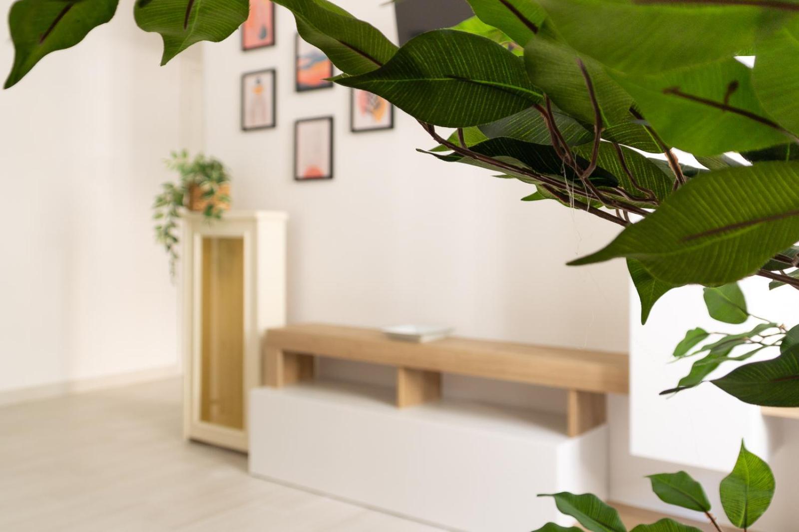 Nextovatican Ferienhaus Rom